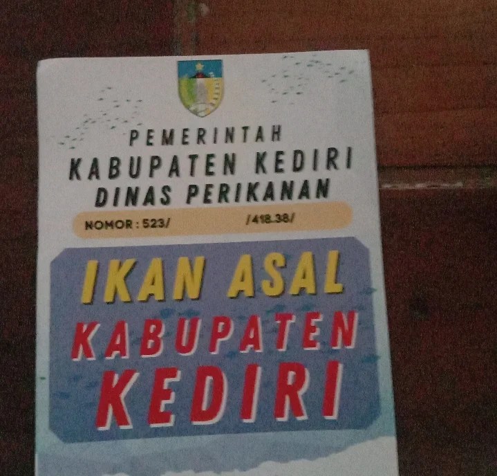Bibitikanmurah